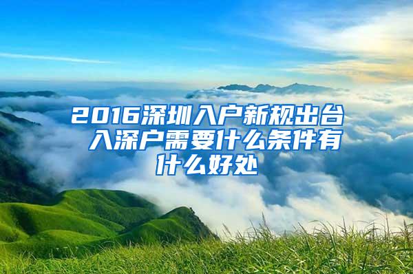 2016深圳入户新规出台 入深户需要什么条件有什么好处