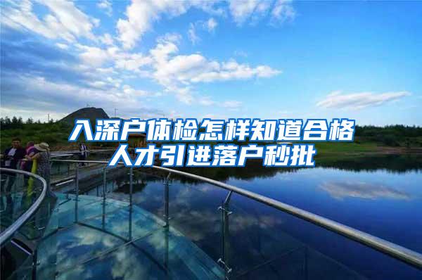 入深户体检怎样知道合格人才引进落户秒批