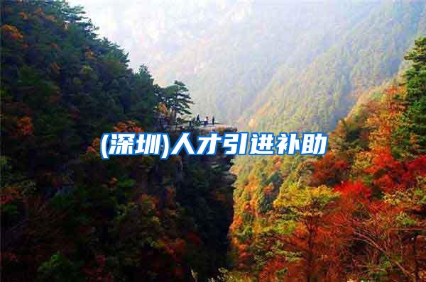 (深圳)人才引进补助