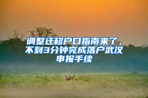 调整迁移户口指南来了，不到3分钟完成落户武汉申报手续