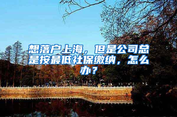想落户上海，但是公司总是按最低社保缴纳，怎么办？