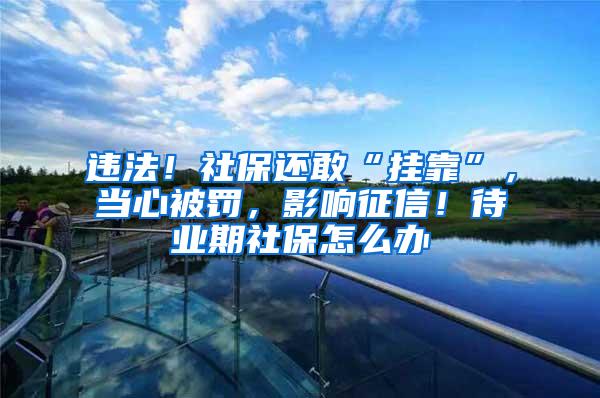 违法！社保还敢“挂靠”，当心被罚，影响征信！待业期社保怎么办