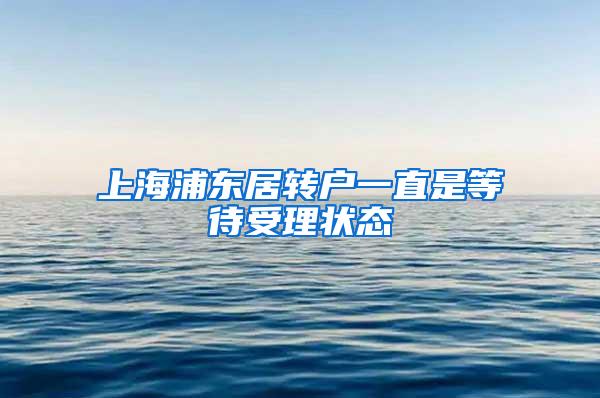 上海浦东居转户一直是等待受理状态