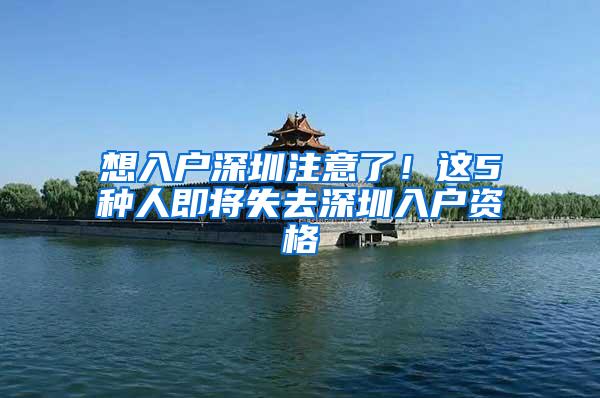 想入户深圳注意了！这5种人即将失去深圳入户资格