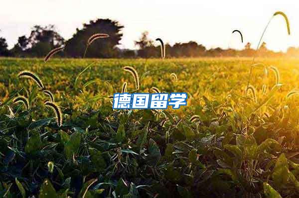 德国留学