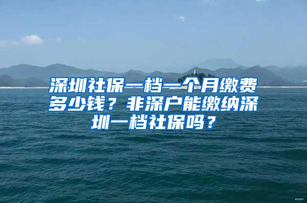 深圳社保一档一个月缴费多少钱？非深户能缴纳深圳一档社保吗？