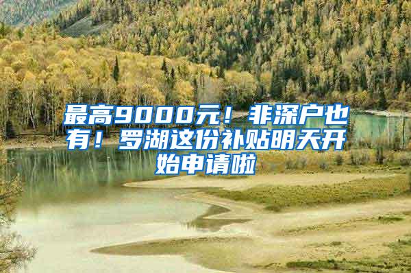 最高9000元！非深户也有！罗湖这份补贴明天开始申请啦