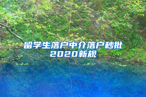 留学生落户中介落户秒批2020新规