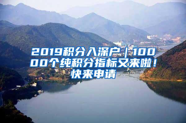 2019积分入深户｜10000个纯积分指标又来啦！快来申请