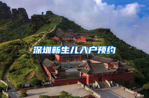 深圳新生儿入户预约