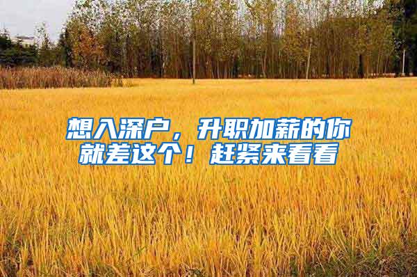 想入深户，升职加薪的你就差这个！赶紧来看看