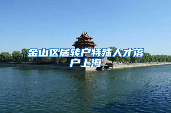 金山区居转户特殊人才落户上海