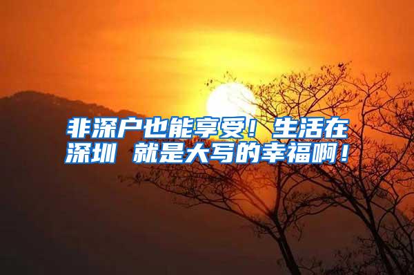 非深户也能享受！生活在深圳 就是大写的幸福啊！