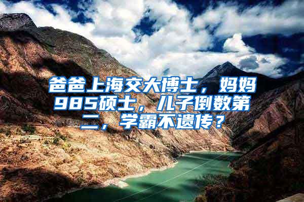 爸爸上海交大博士，妈妈985硕士，儿子倒数第二，学霸不遗传？