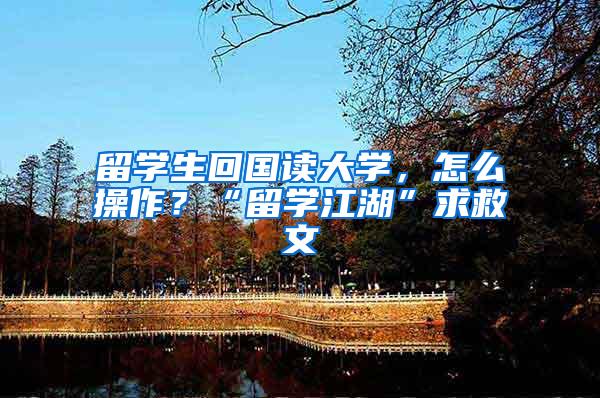 留学生回国读大学，怎么操作？“留学江湖”求救文