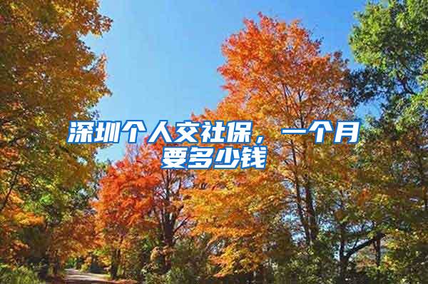深圳个人交社保，一个月要多少钱