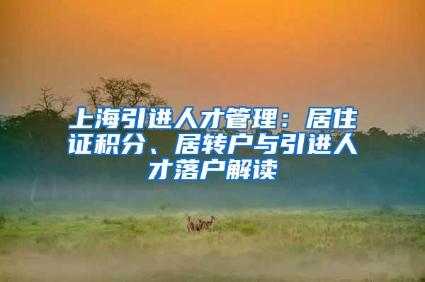 上海引进人才管理：居住证积分、居转户与引进人才落户解读