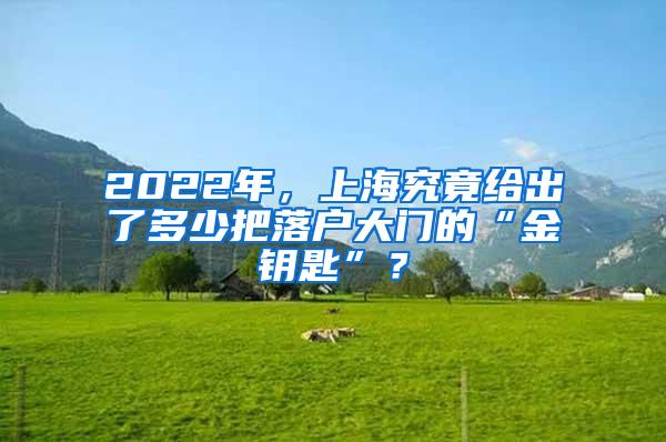 2022年，上海究竟给出了多少把落户大门的“金钥匙”？