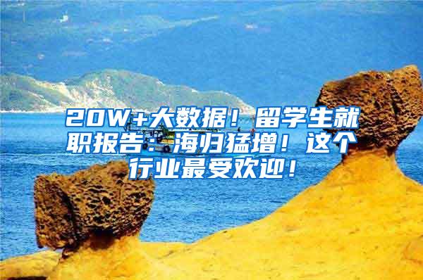 20W+大数据！留学生就职报告：海归猛增！这个行业最受欢迎！