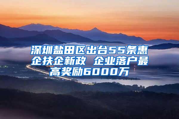 深圳盐田区出台55条惠企扶企新政 企业落户最高奖励6000万