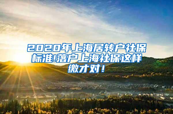 2020年上海居转户社保标准!落户上海社保这样缴才对！