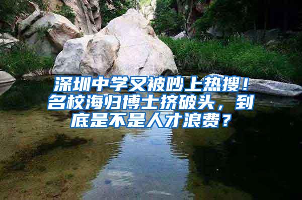深圳中学又被吵上热搜！名校海归博士挤破头，到底是不是人才浪费？