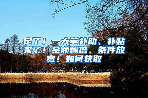 定了！一大笔补助、补贴来了！金额翻倍、条件放宽！如何获取→
