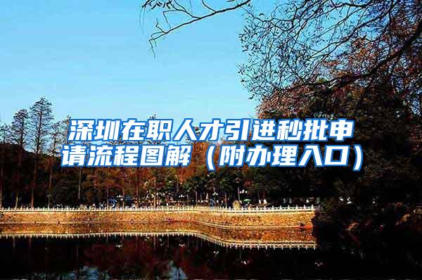 深圳在职人才引进秒批申请流程图解（附办理入口）
