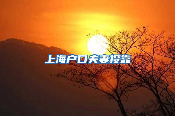 上海户口夫妻投靠