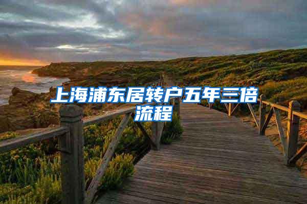 上海浦东居转户五年三倍流程
