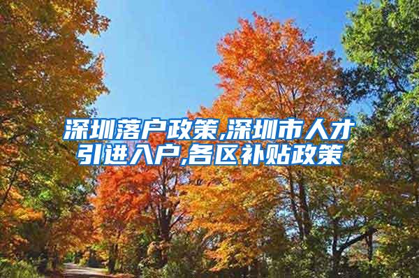 深圳落户政策,深圳市人才引进入户,各区补贴政策