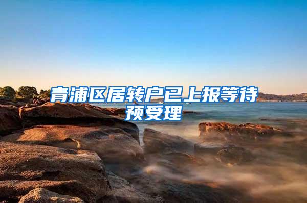青浦区居转户已上报等待预受理