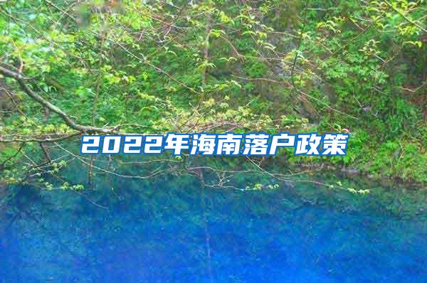 2022年海南落户政策