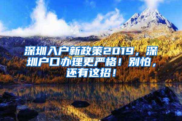 深圳入户新政策2019，深圳户口办理更严格！别怕，还有这招！