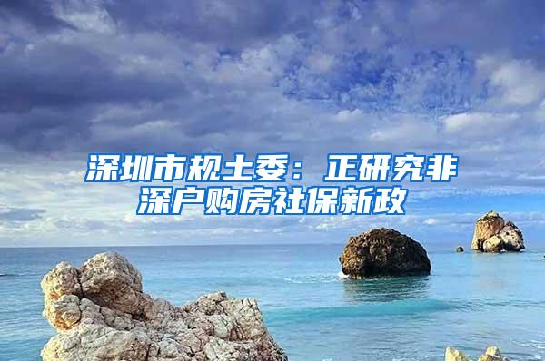 深圳市规土委：正研究非深户购房社保新政