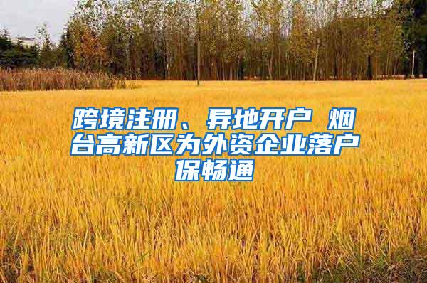 跨境注册、异地开户 烟台高新区为外资企业落户保畅通