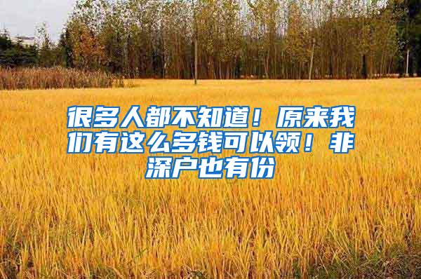 很多人都不知道！原来我们有这么多钱可以领！非深户也有份