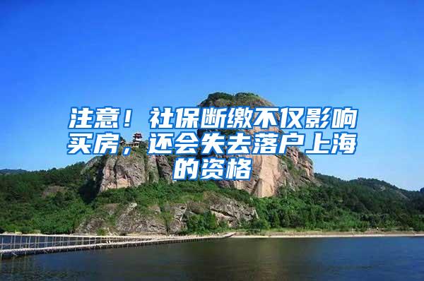 注意！社保断缴不仅影响买房，还会失去落户上海的资格