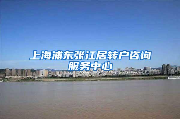 上海浦东张江居转户咨询服务中心