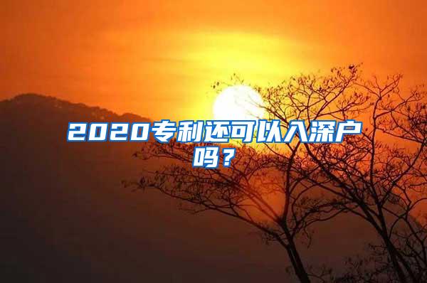 2020专利还可以入深户吗？