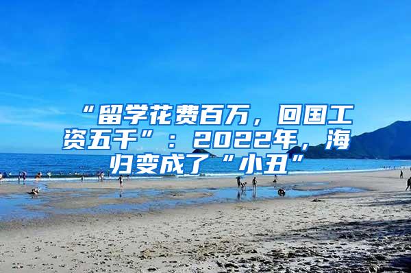 “留学花费百万，回国工资五千”：2022年，海归变成了“小丑”