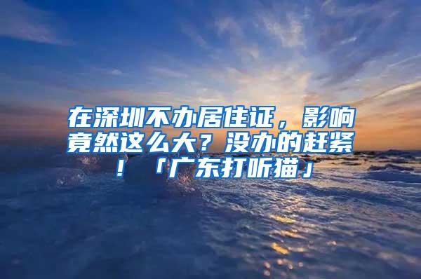 在深圳不办居住证，影响竟然这么大？没办的赶紧！「广东打听猫」