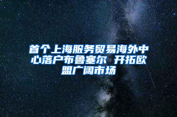 首个上海服务贸易海外中心落户布鲁塞尔 开拓欧盟广阔市场