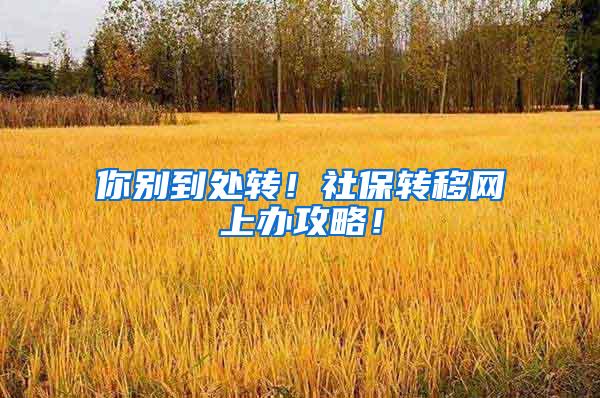 你别到处转！社保转移网上办攻略！