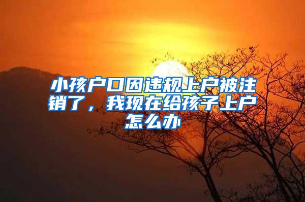 小孩户口因违规上户被注销了，我现在给孩子上户怎么办