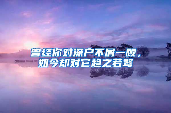 曾经你对深户不屑一顾，如今却对它趋之若鹜