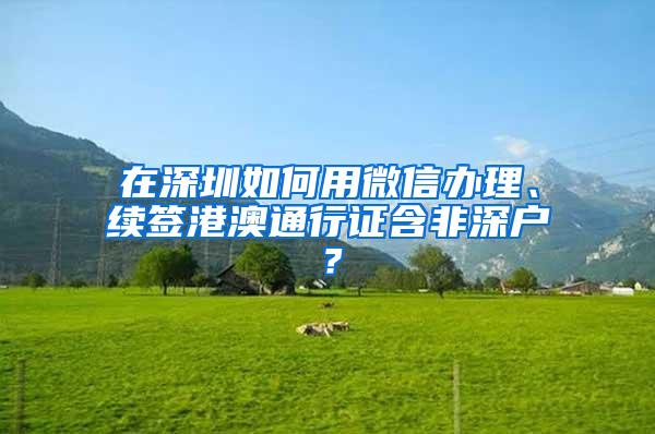 在深圳如何用微信办理、续签港澳通行证含非深户？