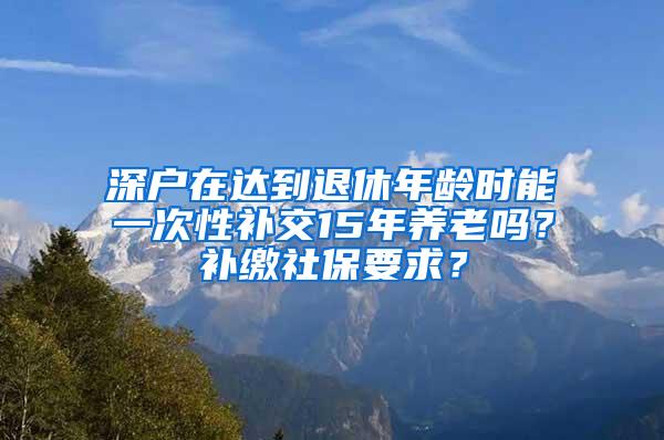 深户在达到退休年龄时能一次性补交15年养老吗？补缴社保要求？