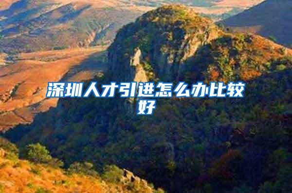 深圳人才引进怎么办比较好