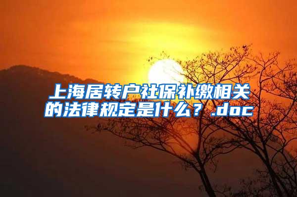 上海居转户社保补缴相关的法律规定是什么？.doc